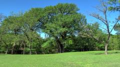 criders_frio_river_4544