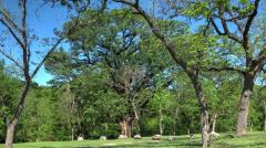 criders_frio_river_4568