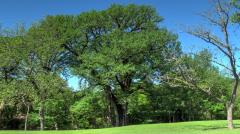 criders_frio_river_4571