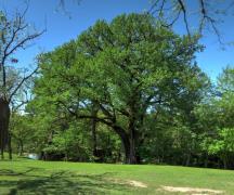 criders_frio_river_4646s